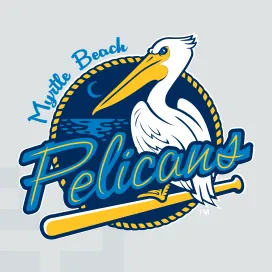 Myrtle beach pelicans